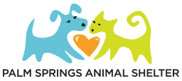 Palm Spring Animal Shelter at Enve California Aesthetics